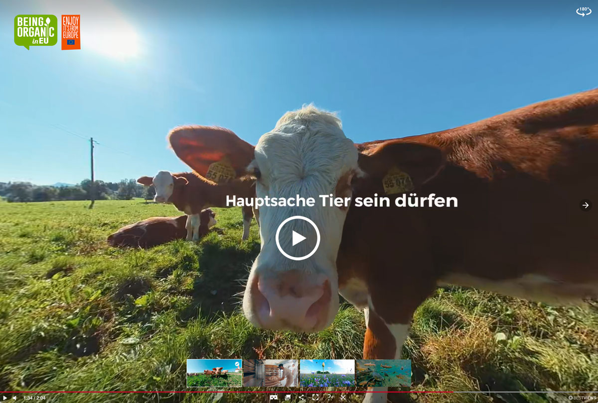 VR Video Erlebnis Tierwohl Kuh