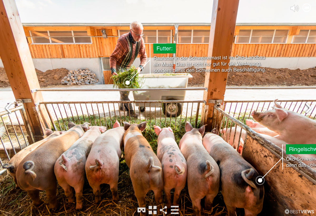 VR Video Erlebnis Bio-Schweinehof