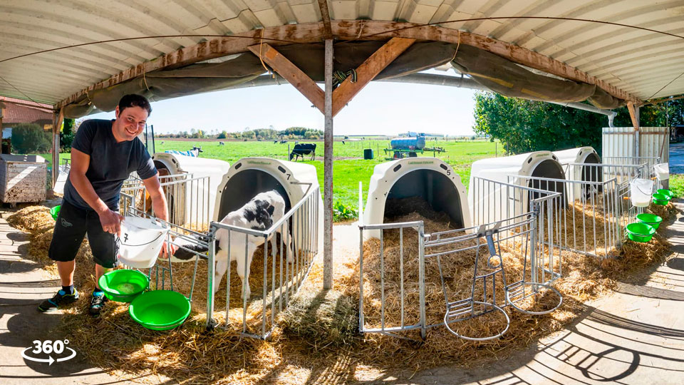 360° Rundgang im Bio-Milchviehbetrieb