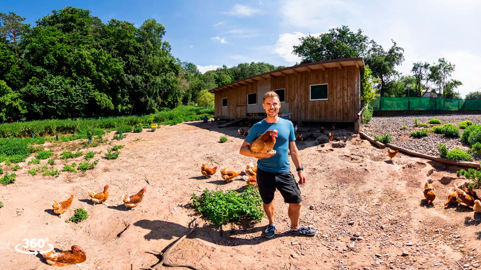 360° Rundgang im Bio-Hühnerstall